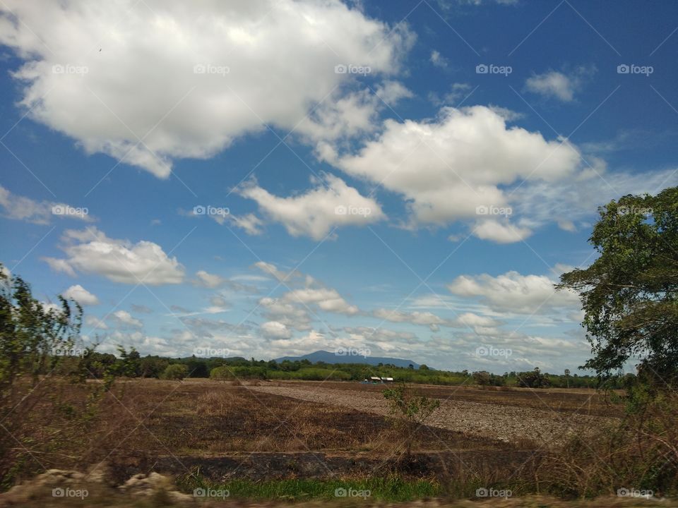 Blue sky over the field.