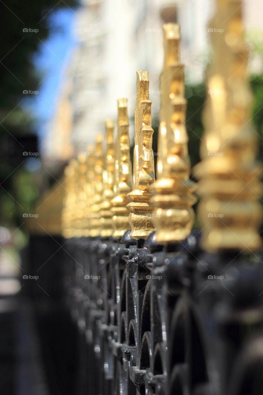 The golden fence