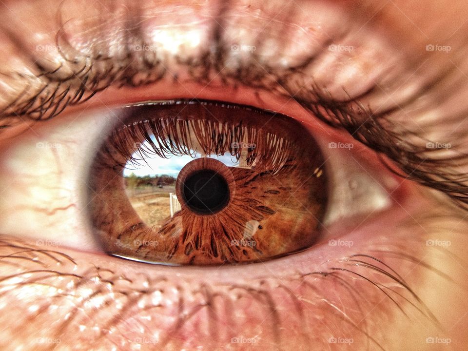 Closeup of a brown eyeball