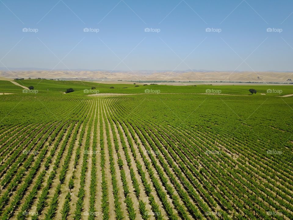 Agriculture, Landscape, Field, Farm, Rural