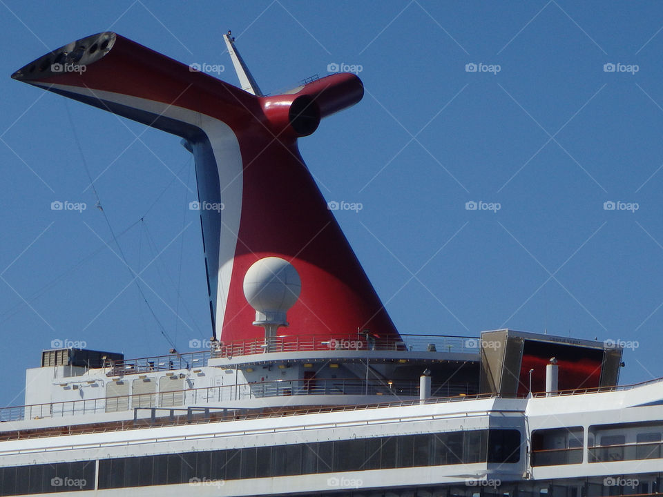 Carnival Whale Tail