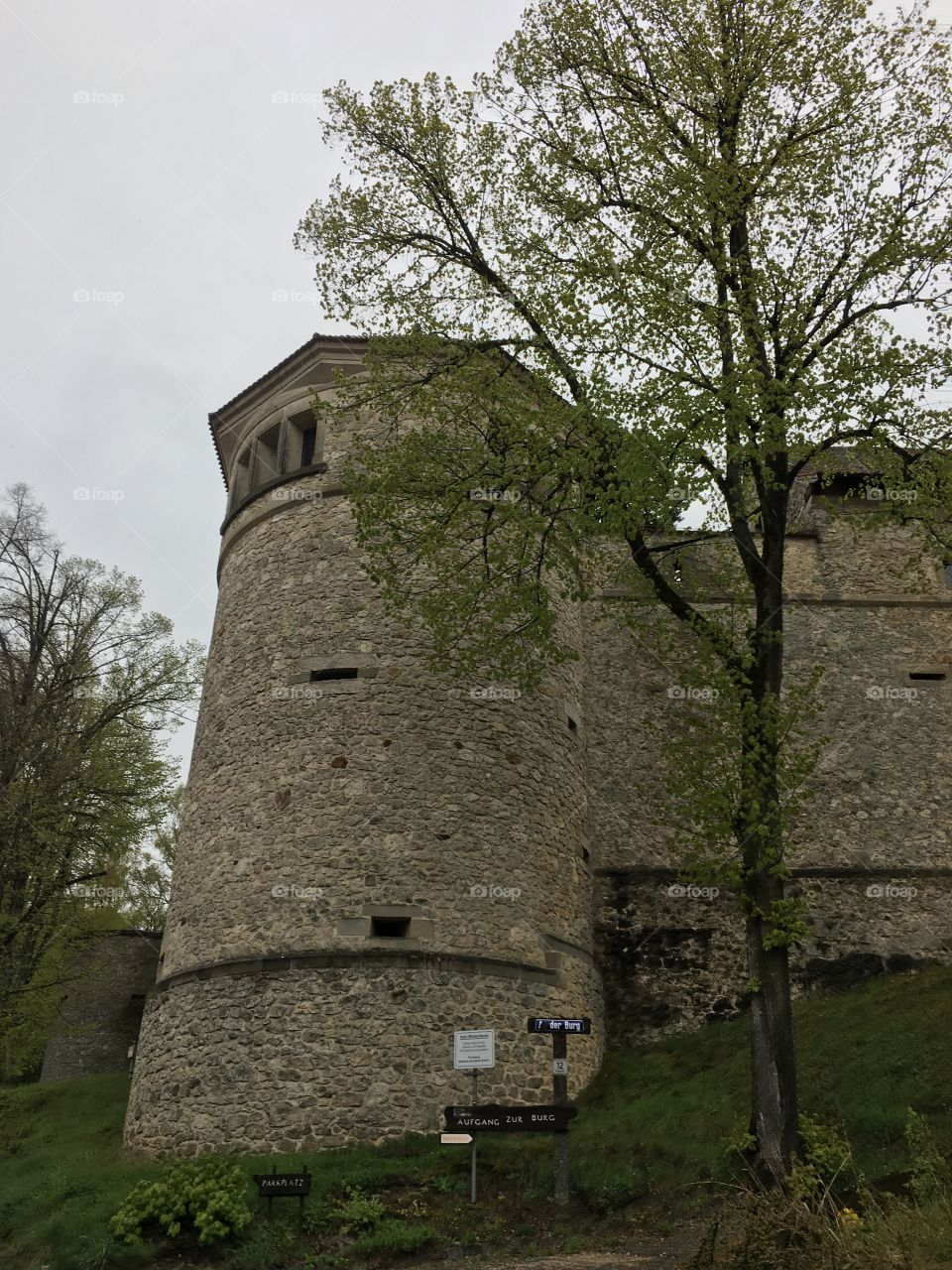 Neuhaus Castle Ruins 