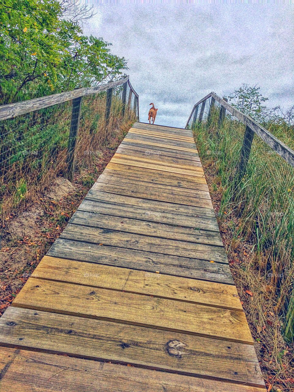 Jennings Beach, Fairfield CT