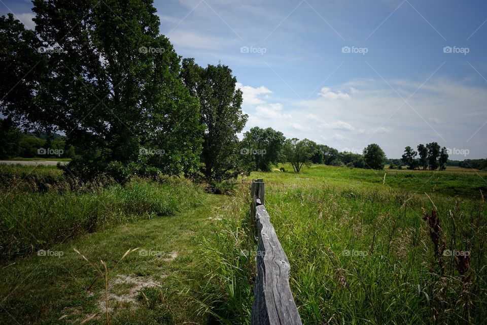 Scenic view of marshland