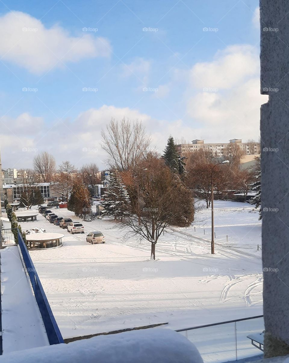 white winter scenery  from a window