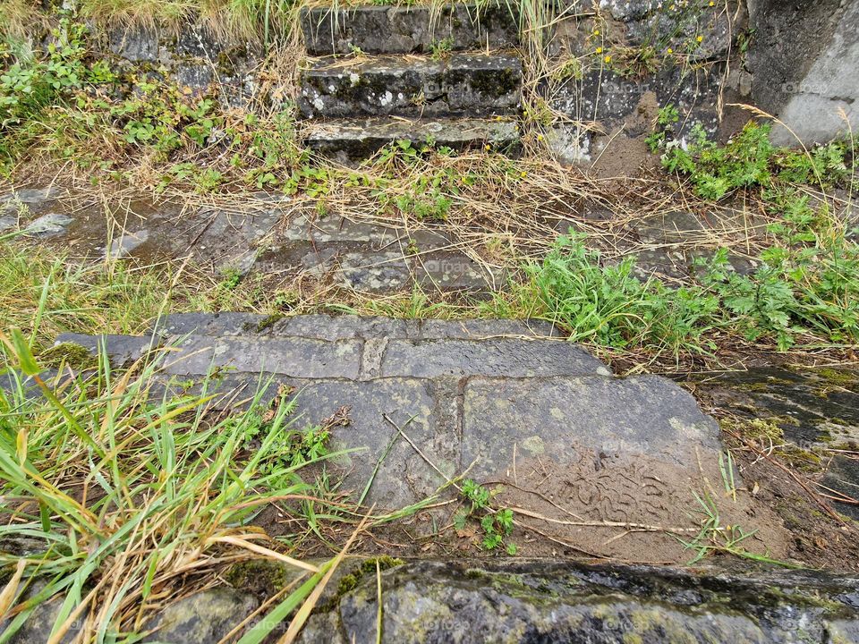 Go for a hike Mission photo