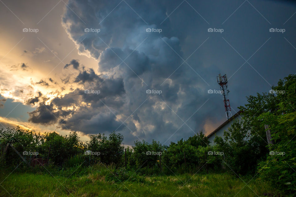 Cloudscpae over trees