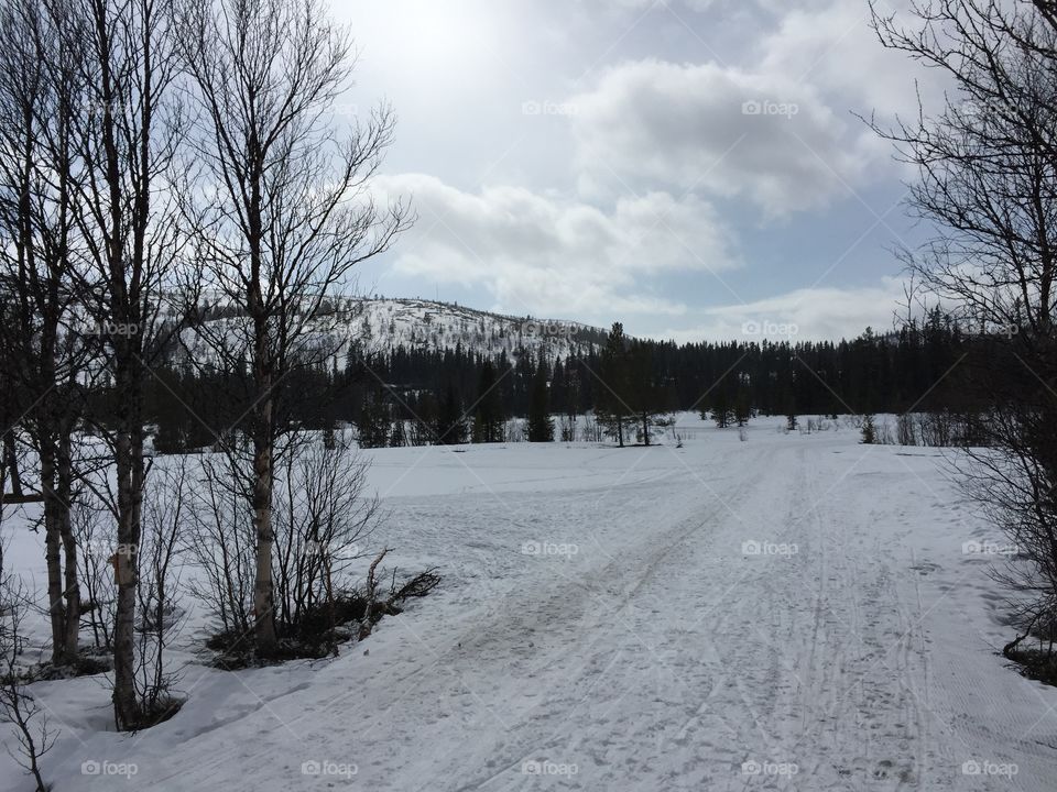 Eastern in Björnrike Sweden 