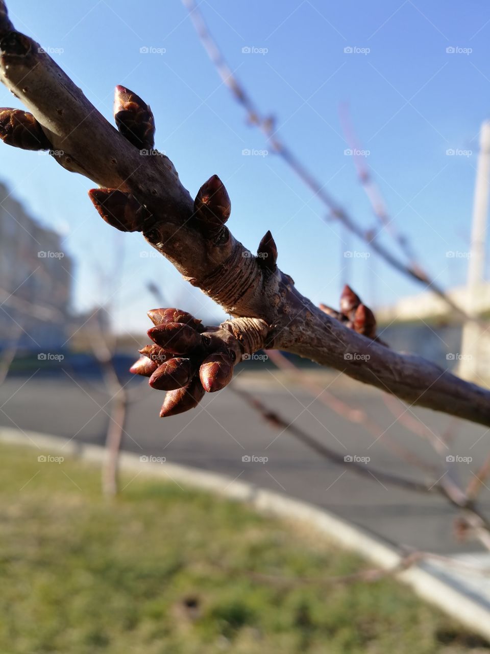 Начало весны