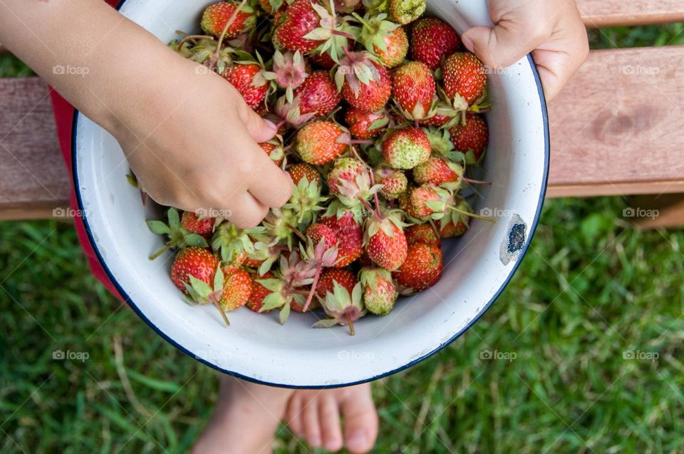 Strawberries in metal bowl. Health food. Berries 