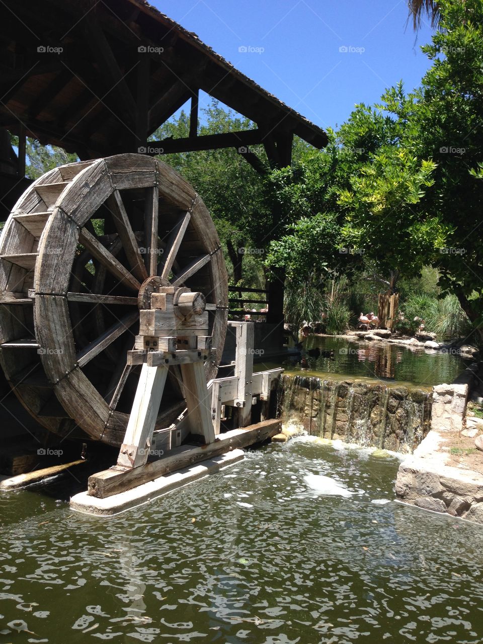 Wheel at the zoo. Tucson zoo 