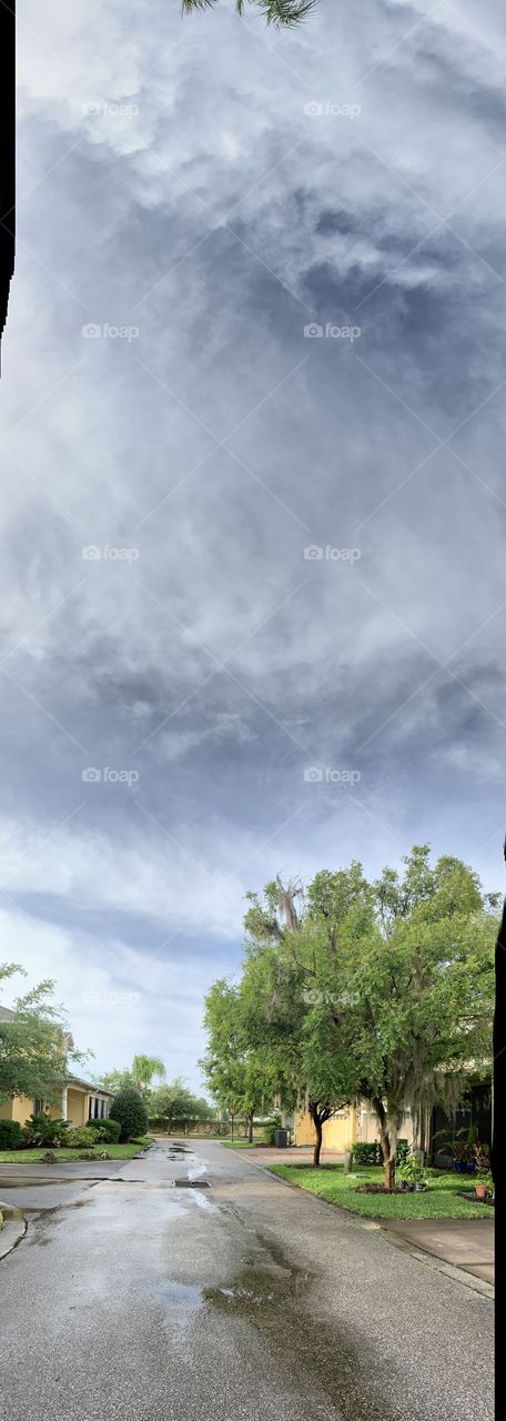 Nature, Sky, No Person, Outdoors, Tree