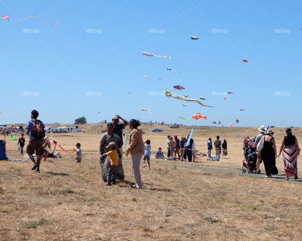 People at a kite festival