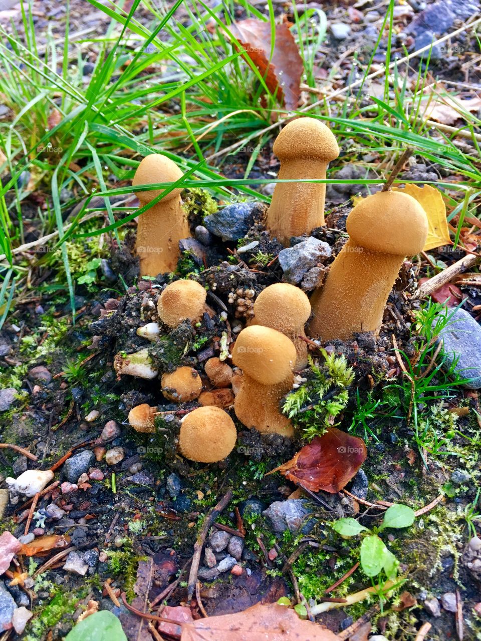 Captured with iPhone 6s Plus 