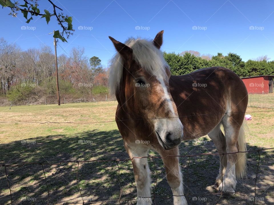 New friends come in all sizes
