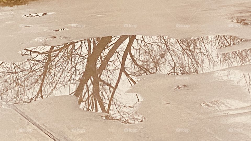 Too much water in the roadway street and looking out kitchen window snapped this pic