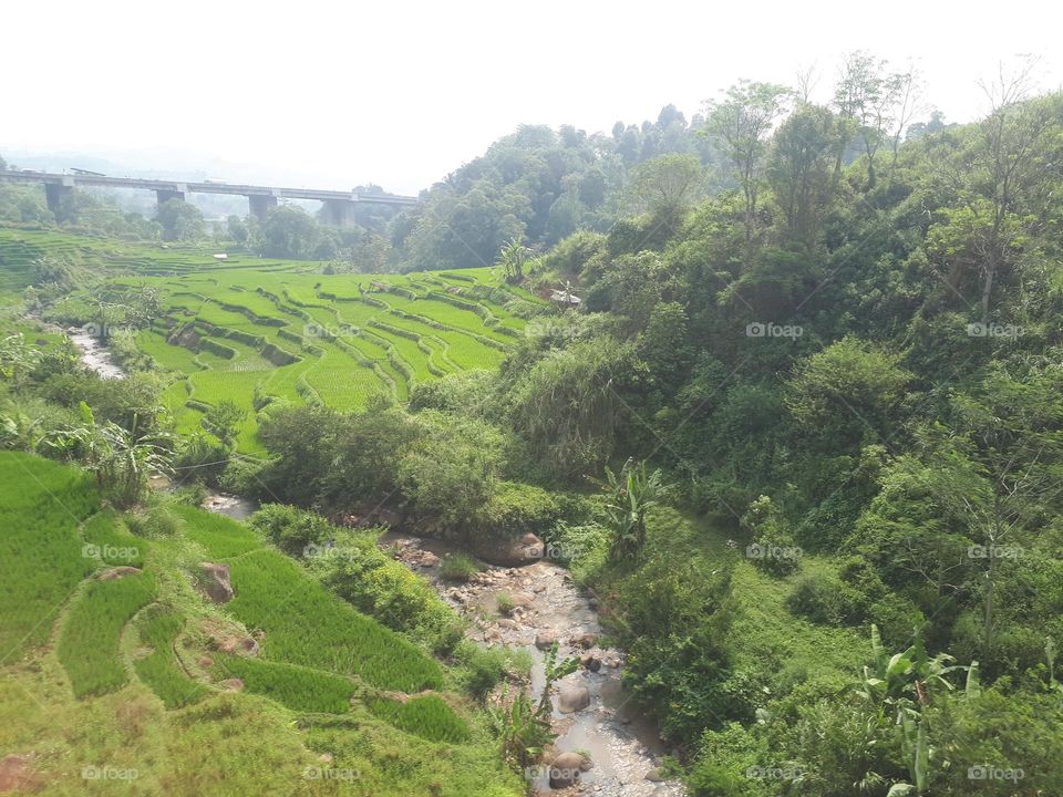 The green natural scenery in Indonesia attracts local and international tourists to vacation there in the summer