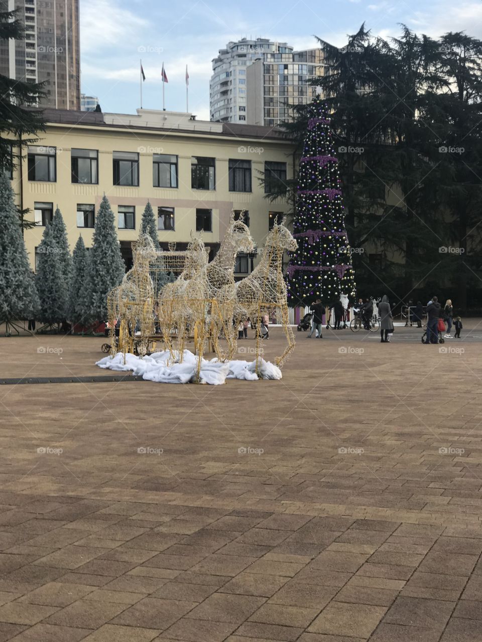 Sochi merry christmas