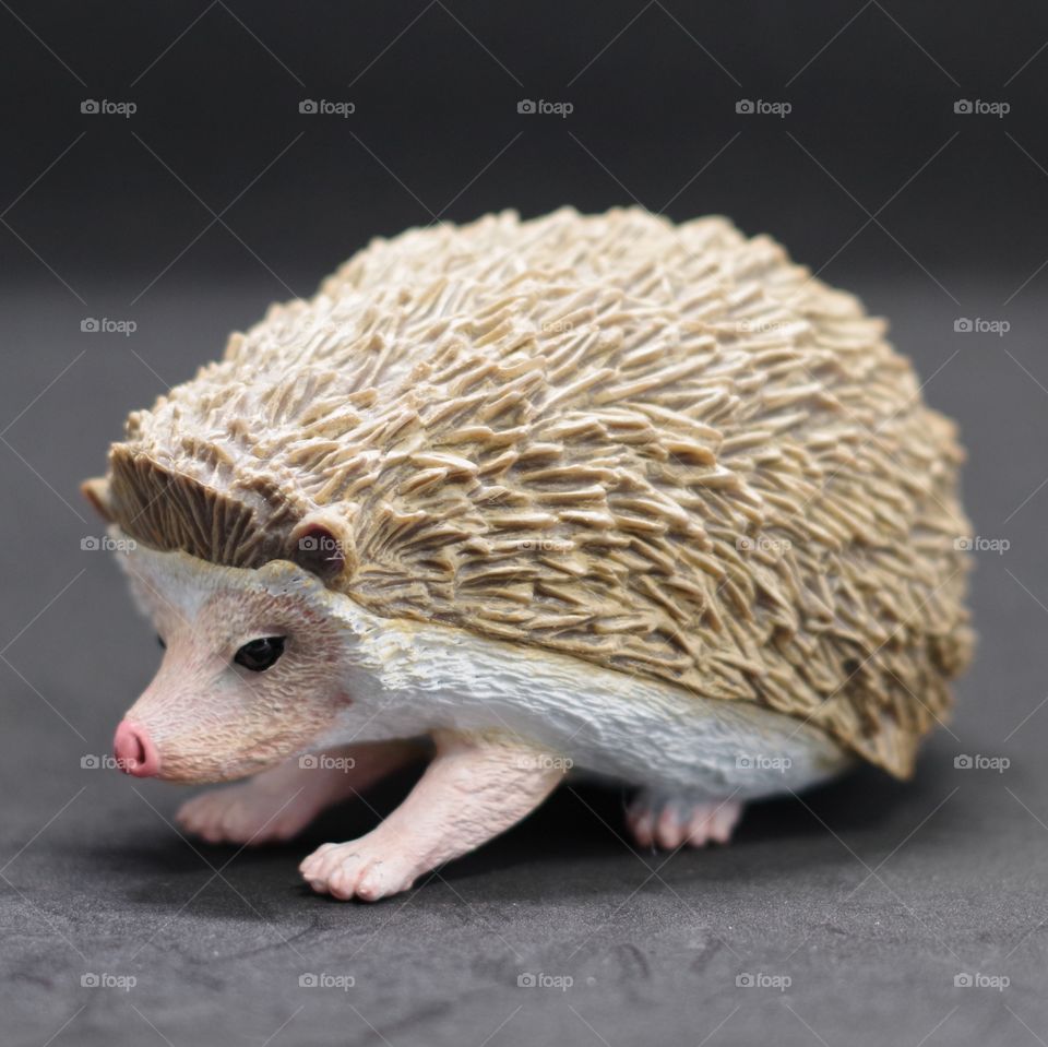 Plastic hedgehog figurine form a long lost childhood