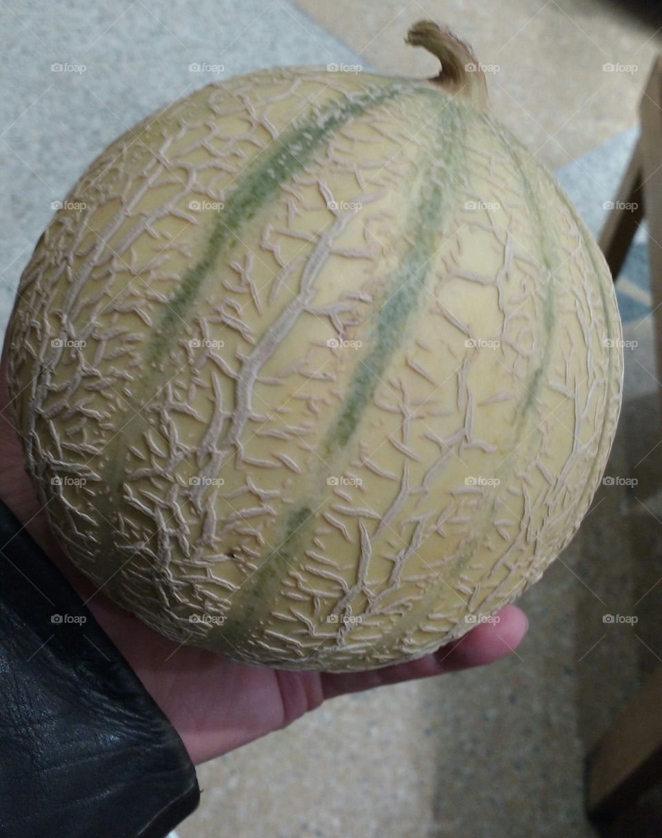 Fresh Melon