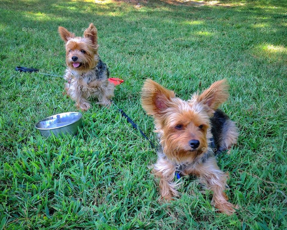 Having a Travel Break