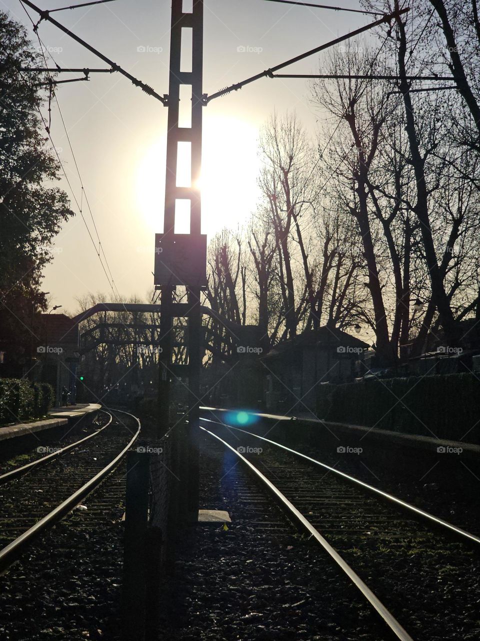 Railroad tracks shine with the late afternoon sun on a winter day