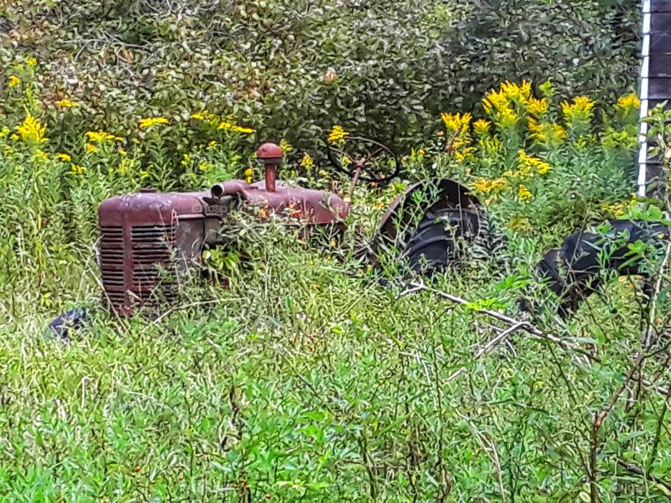 abandoned tractor