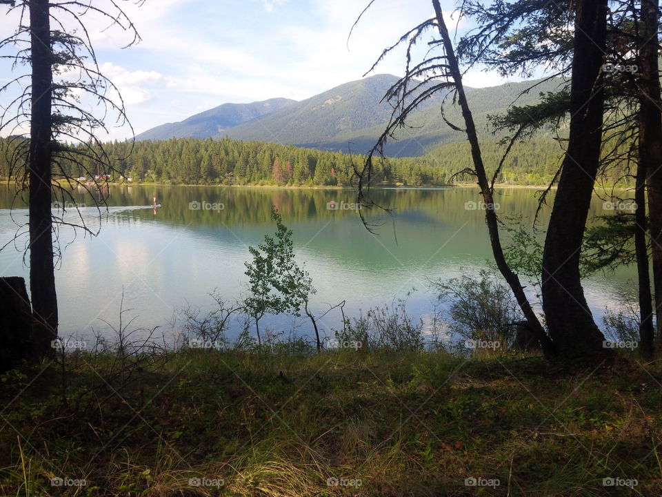 Landscape, Lake, Water, Tree, Reflection