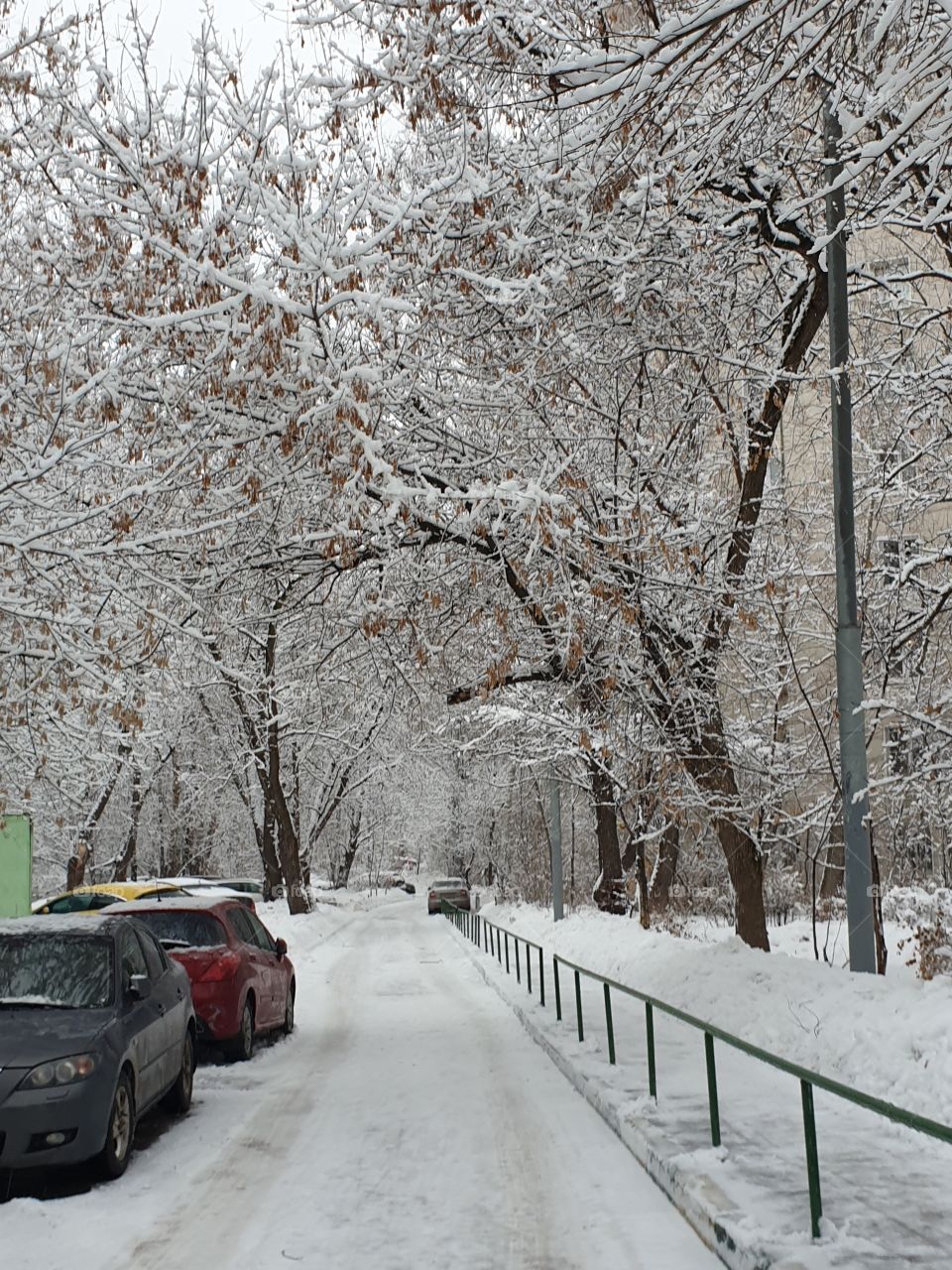 Winter fairy tale, winter, snow, evening Moscow, beautiful trees, trees in the snow