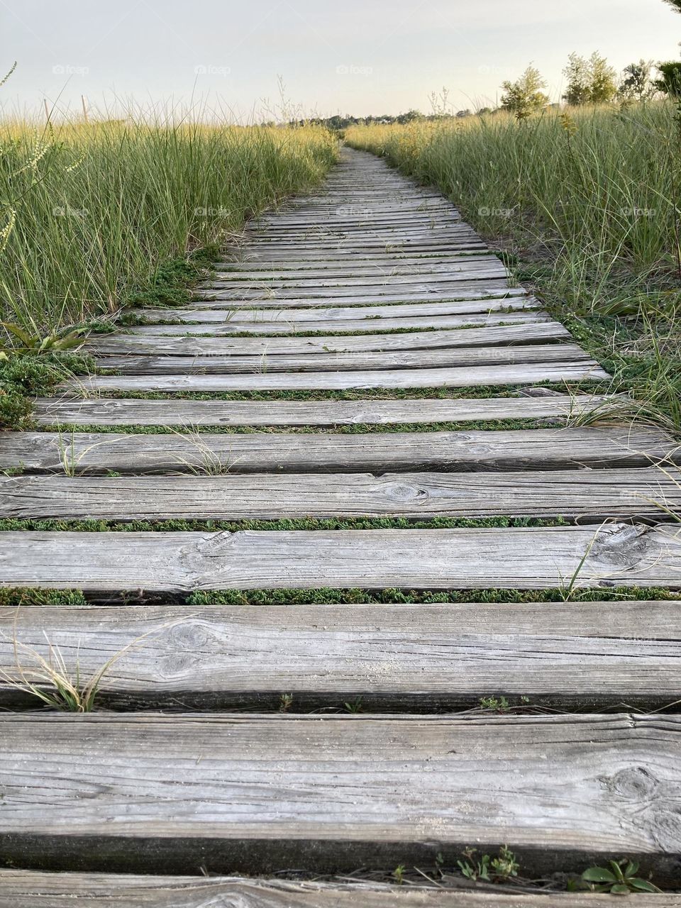 Boardwalk to the Beach