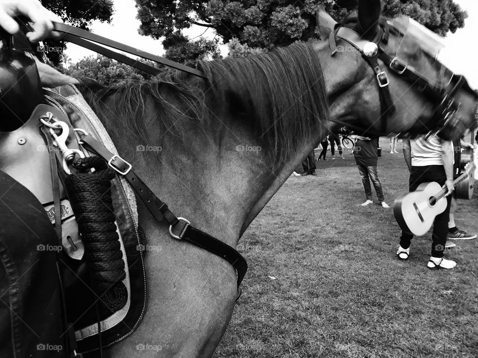 Mounted sheriff department 