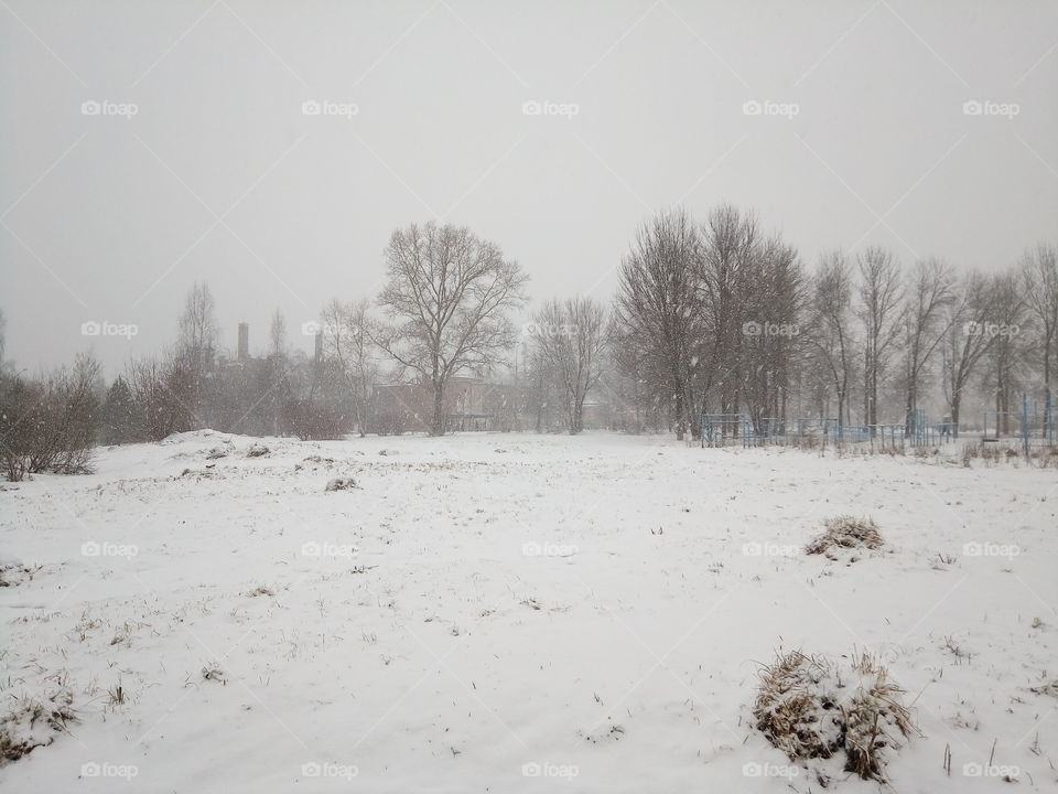 зима метель