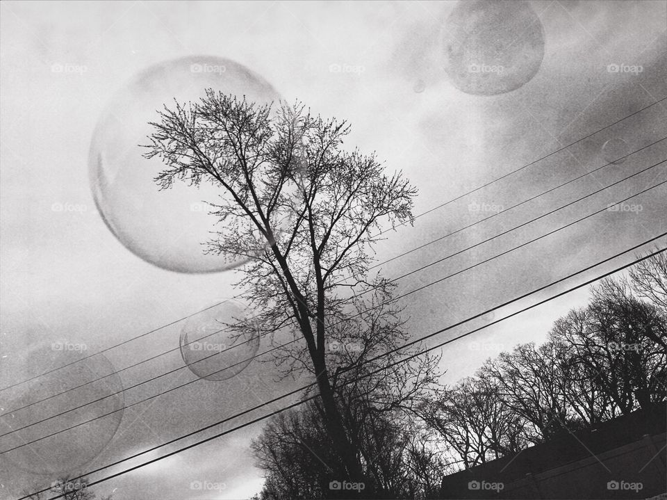 Black and white bubble 