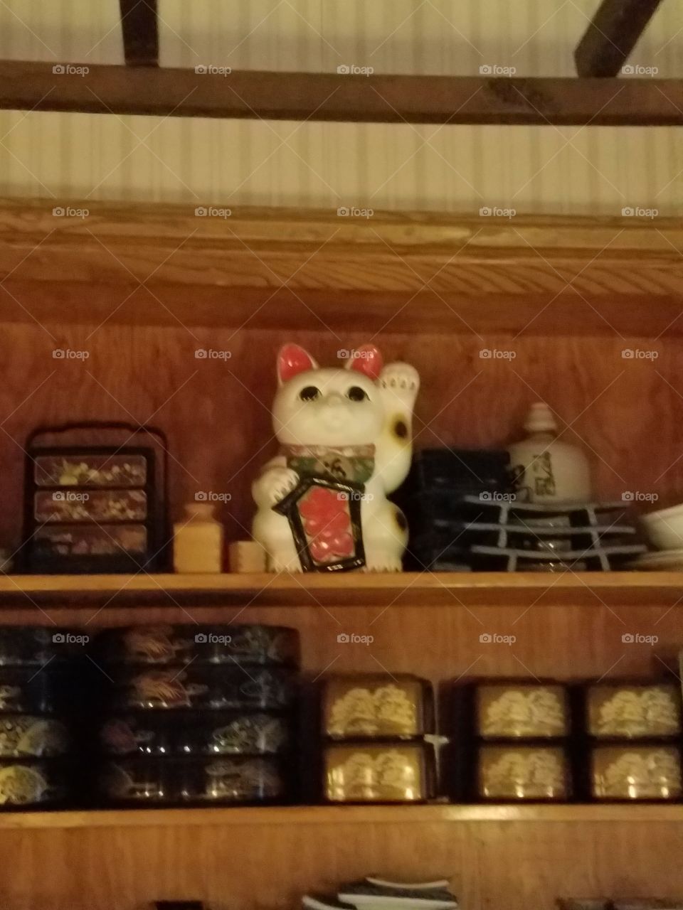 lucky cat