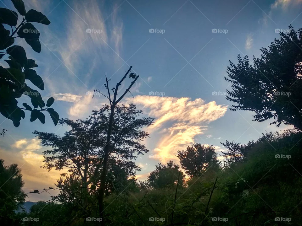 sky during sunset, beautiful nature photo.