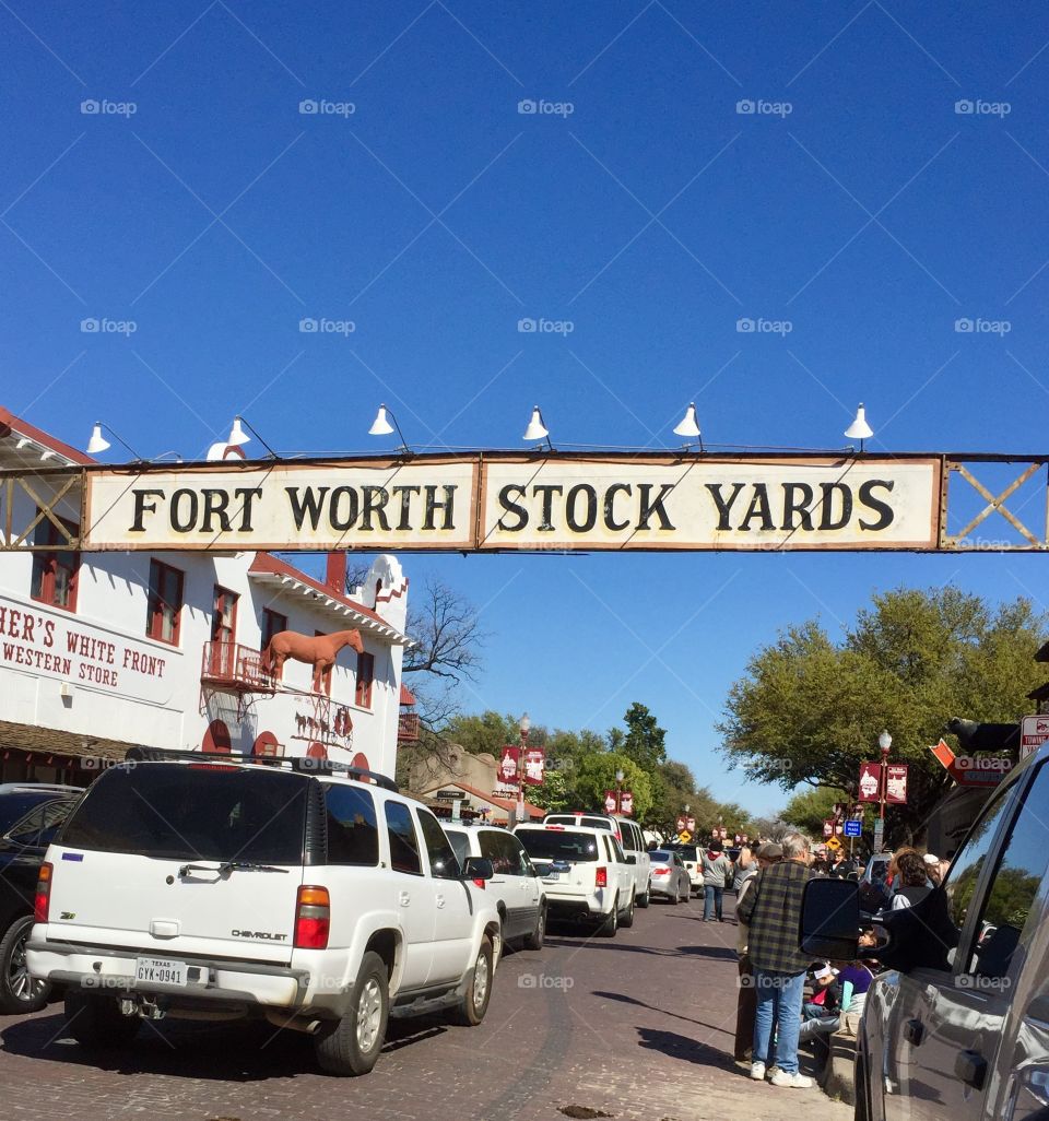 Afternoon in Stockyards