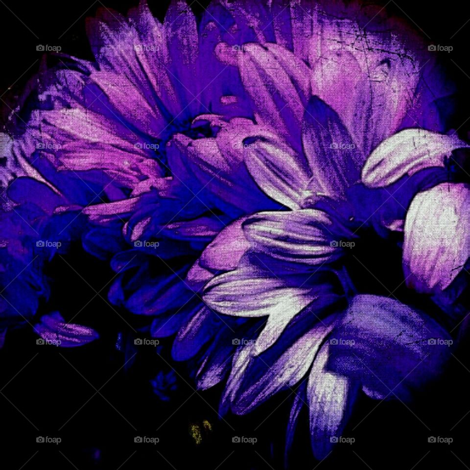 in love. lighting effects