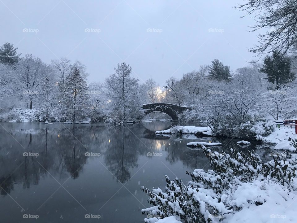 Snowy pond 