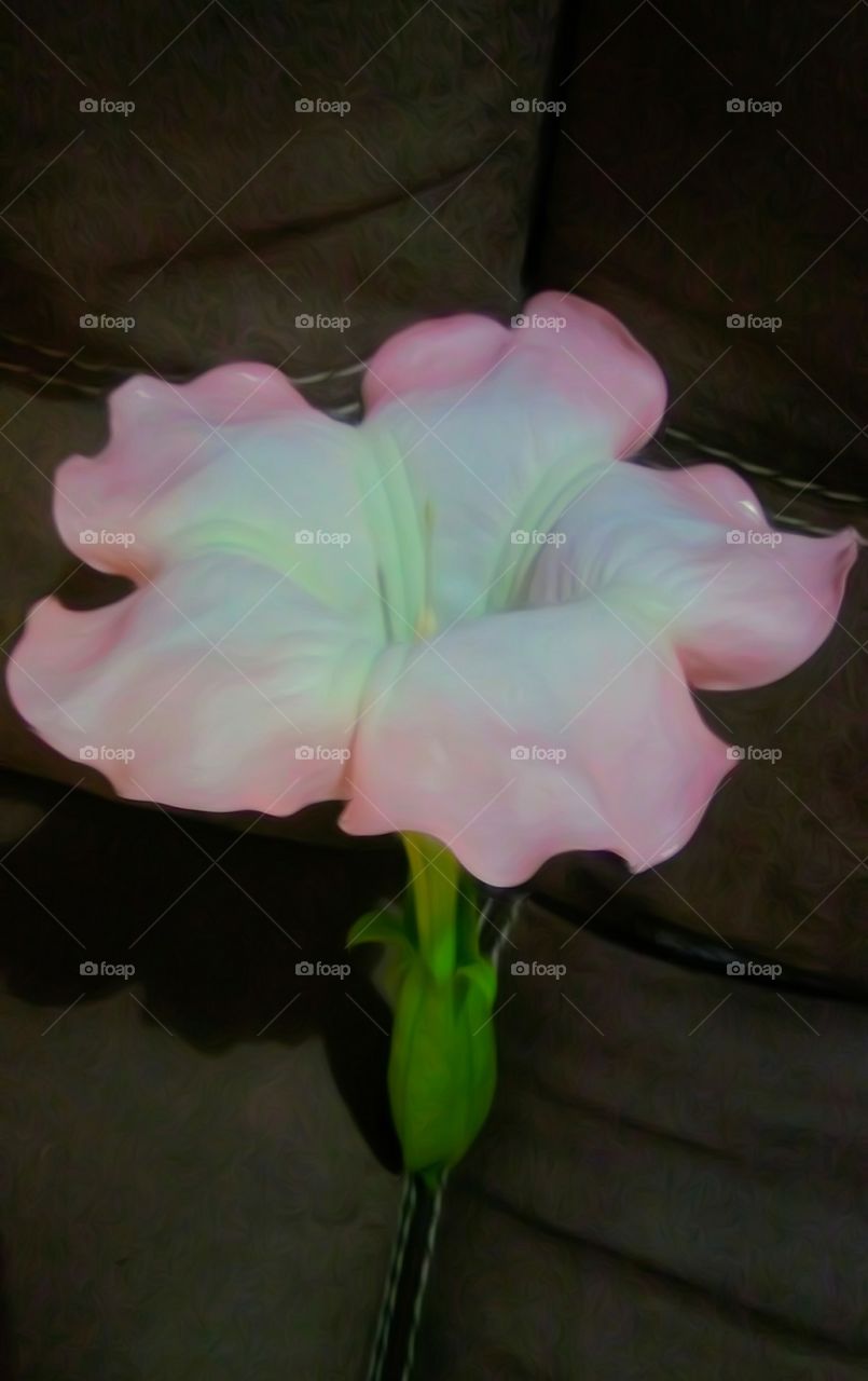 pink flower blur