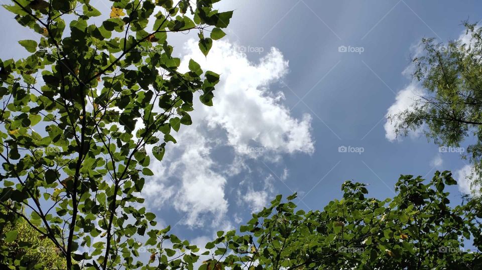 sky
clouds
beautiful view
up view