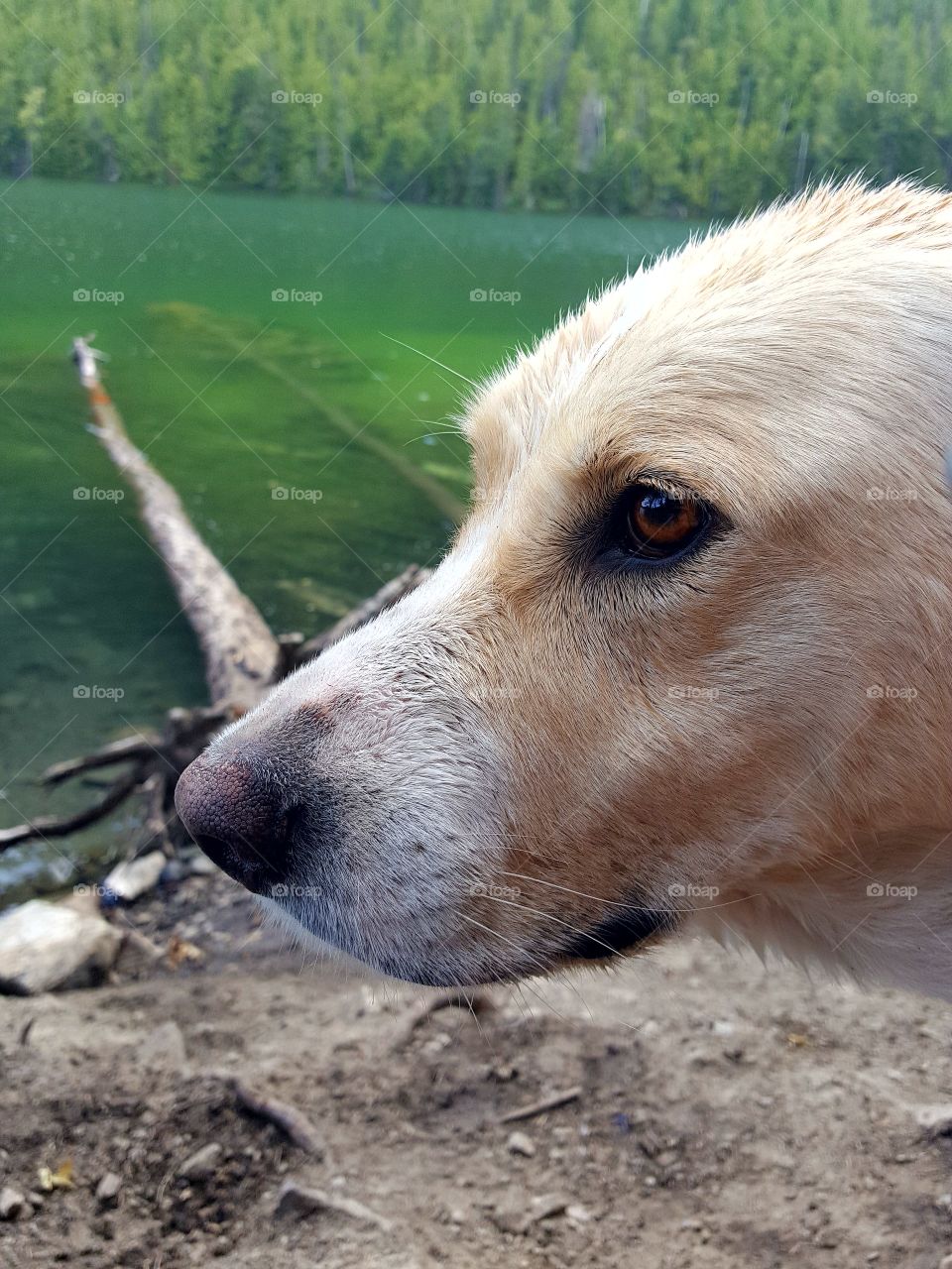 Adventure Awaits 🌳
Focused On The Freedom 🐾