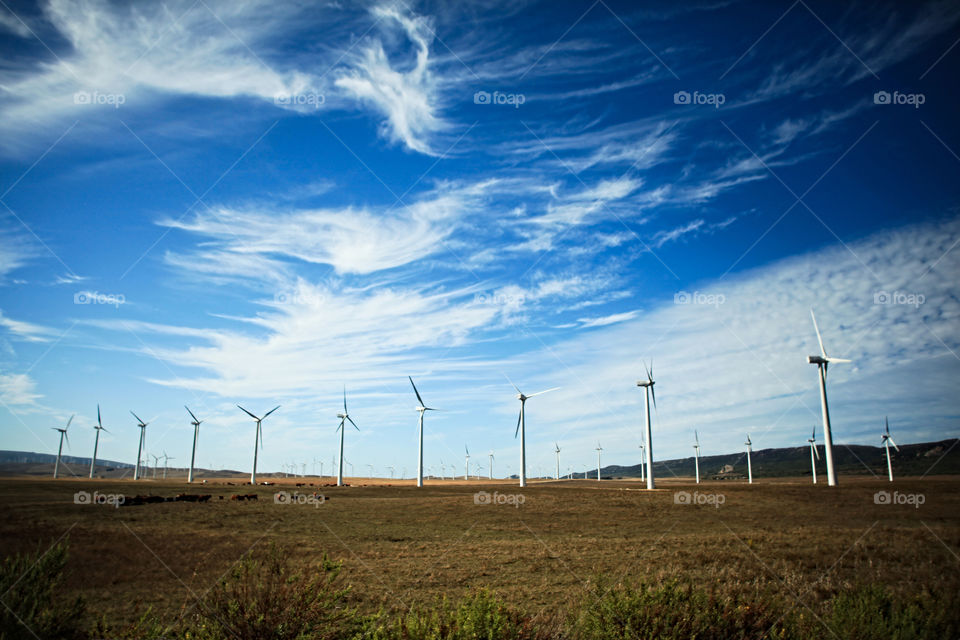 Windmills