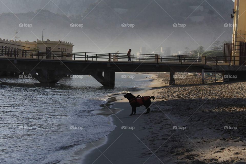 Una mattina a Mondello