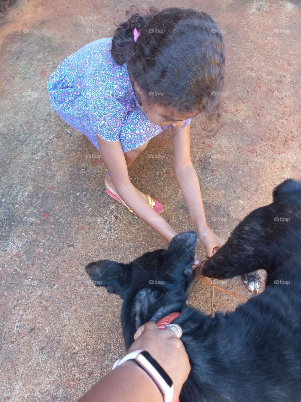 As crianças  e os animais de estimação.  O convívio entre animais de estimação  e crianças,  impacta diretamente no desenvolvimento e emocional delas. Porque os animais, despertam nas crianças: amor, carinho, cuidado e diversão