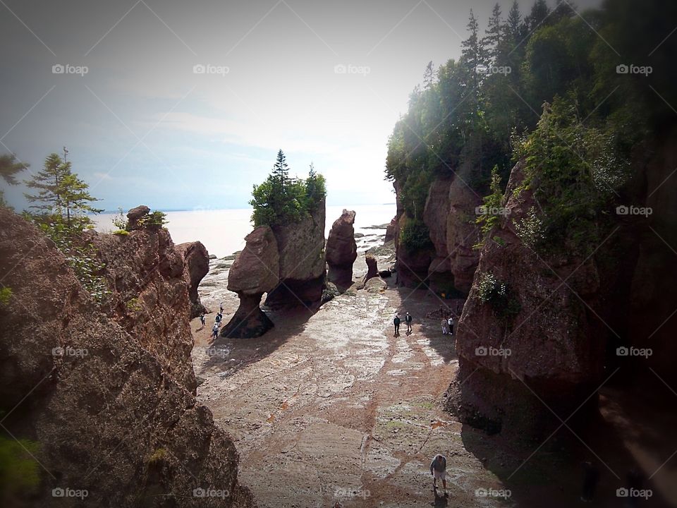 Hopewell Rocks - New Brunswick, Canada