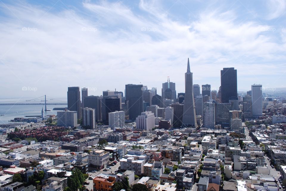 San Francisco from the tower