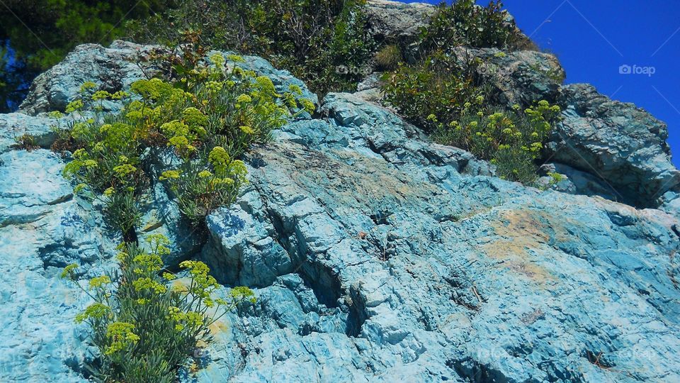 Turquoise walls and rocks, green plants growing out of them, blue sea... to nature is really great artist