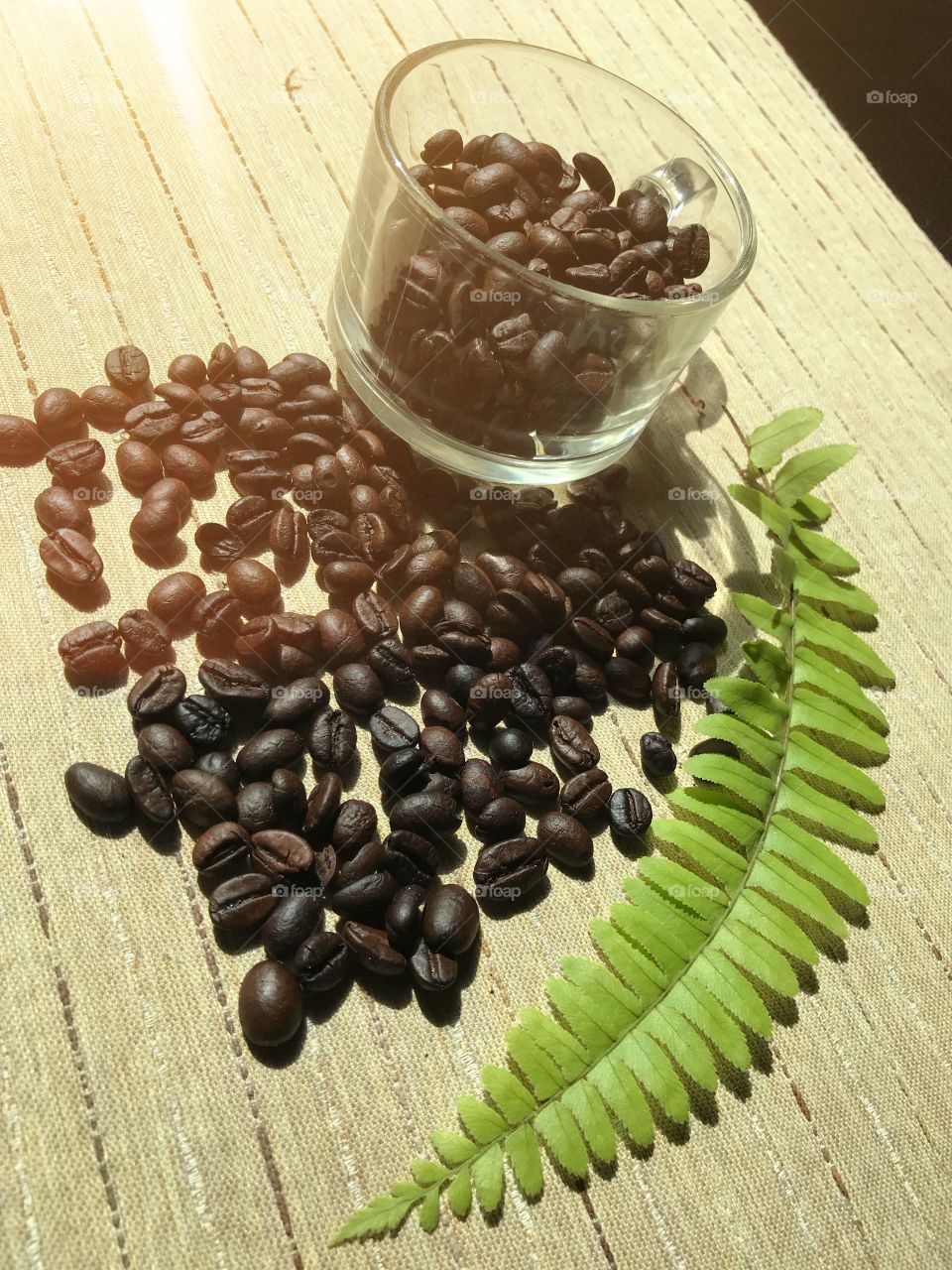 Coffee bean on wooden with leaves 