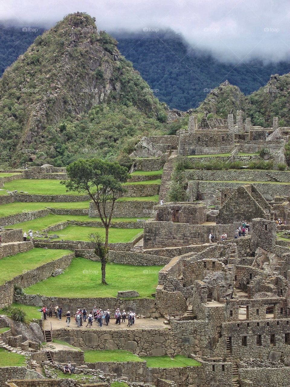 Machu Picchu area