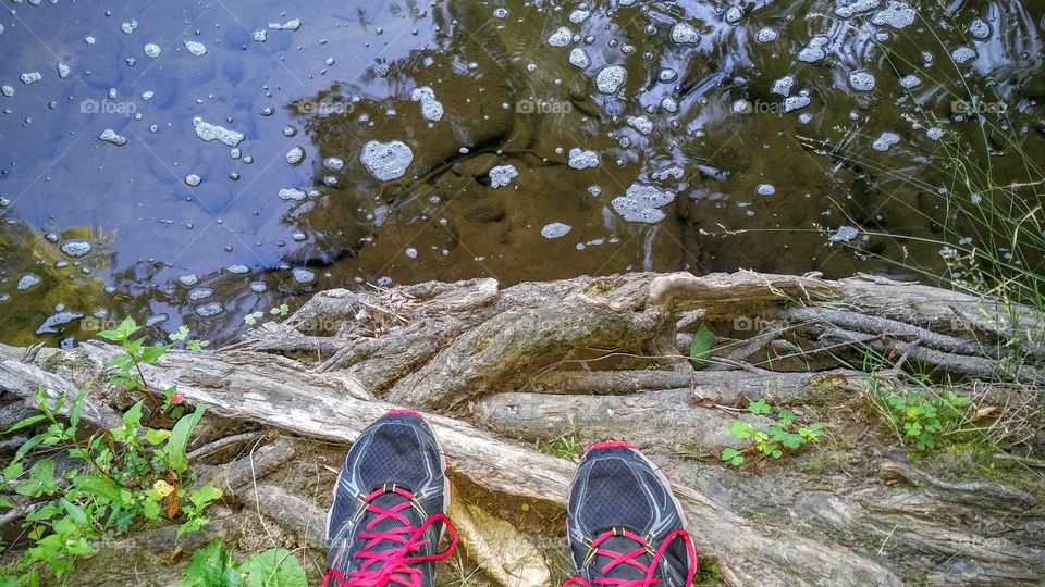 From Where I Stand - Creek in Catskill Mountains